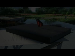 Fadior dansant dans le cabinet de cuisine