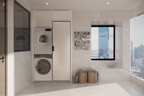 Armoire de balcon en acier inoxydable Fadior avec solution intégrée de blanchisserie et de stockage